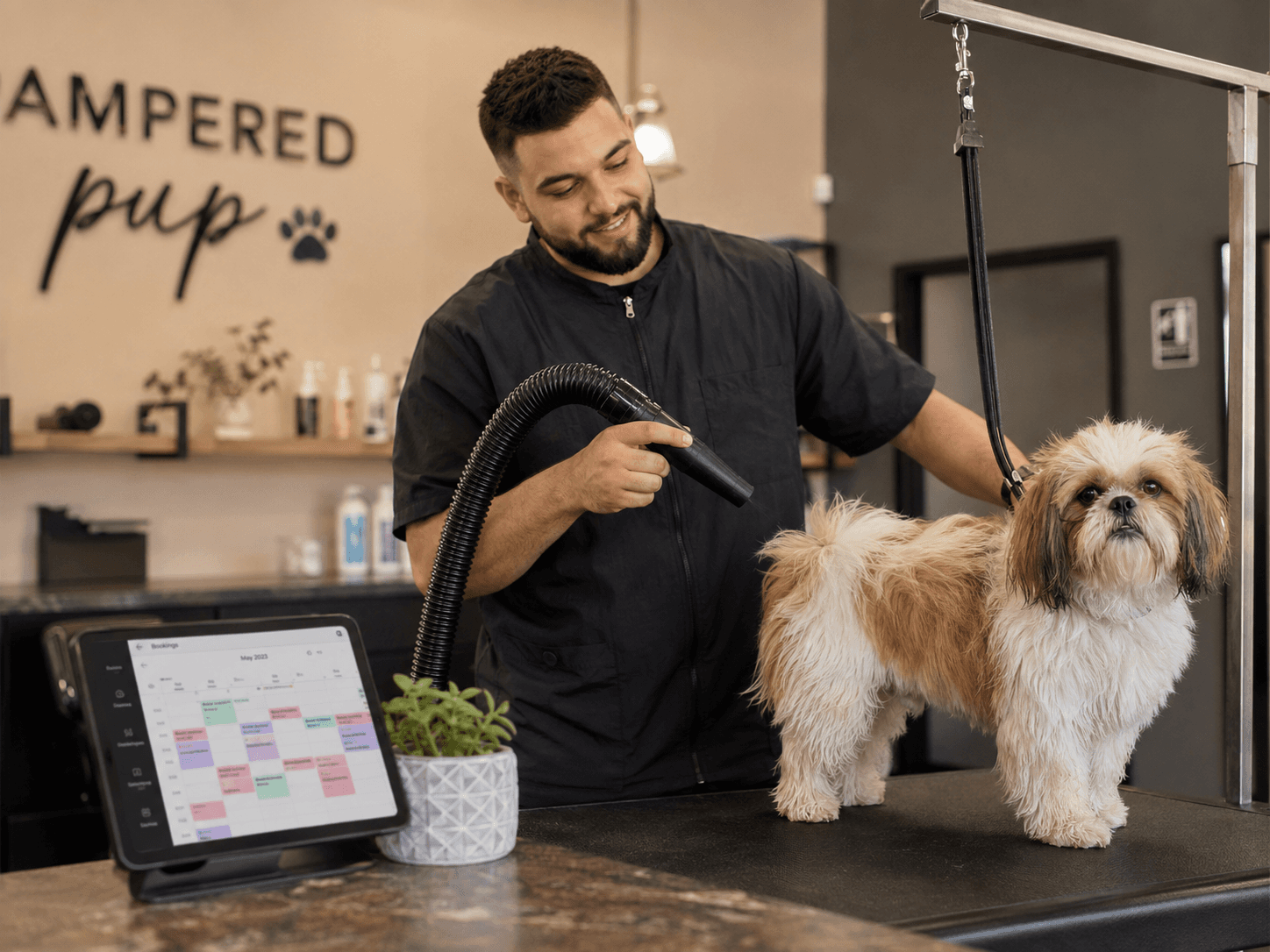 Dog groomer drying a Shih Tzu in a grooming salon, illustrating how much dog groomers make per appointment